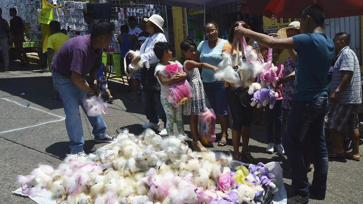 Tianguis Santa Cruz